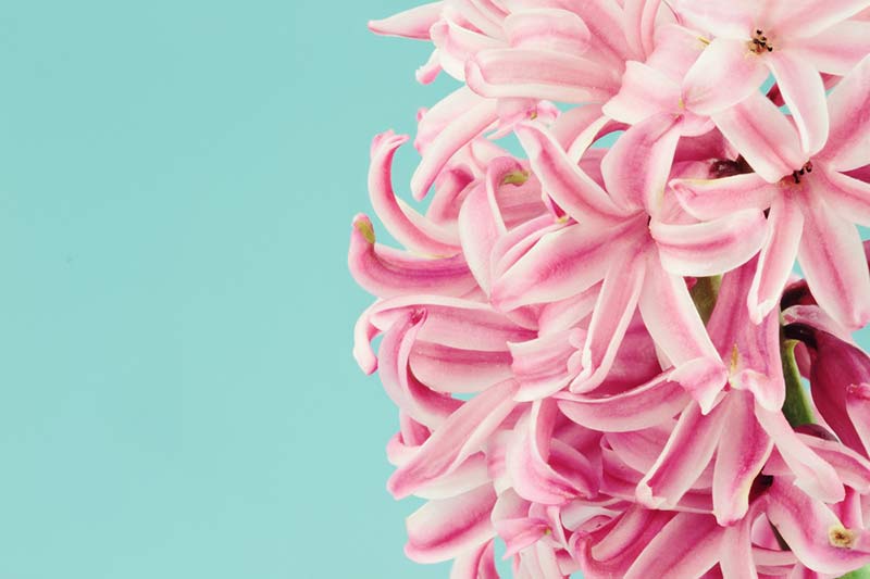 Do You Truly Know How to Love Yourself? by Louise Hay