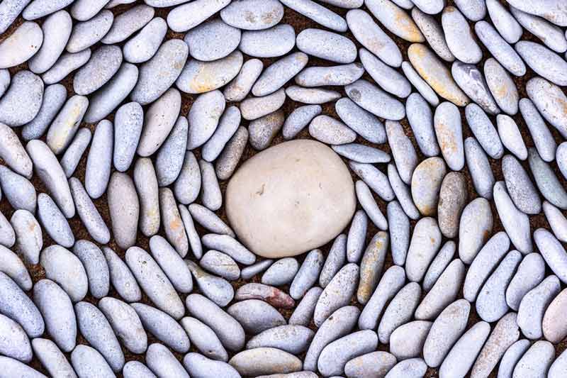 What Do Healthy Bowel Movements Look Like?